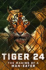 Watch Tiger 24 Niter