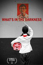 Watch What\'s in the Darkness Niter