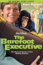 Watch The Barefoot Executive Niter