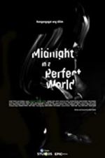 Watch Midnight in a Perfect World Niter