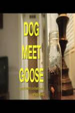 Watch Dog Meet Goose Niter