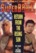 Watch WCW SuperBrawl I Niter