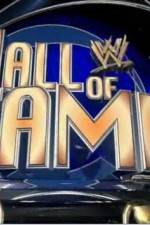 Watch WWE Hall of Fame 2011 Niter