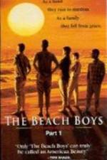 Watch The Beach Boys An American Family Niter