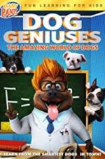 Watch Dog Geniuses Niter