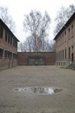Watch Made in Auschwitz: The Untold Story of Block 10 Niter