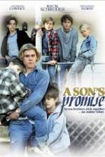Watch A Son's Promise Niter