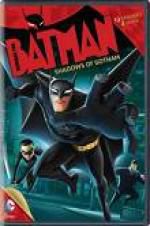 Watch Beware the Batman: Shadows of Gotham Niter