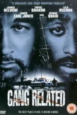 Watch Gang Related Niter