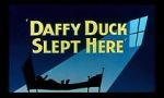 Watch Daffy Duck Slept Here (Short 1948) Niter