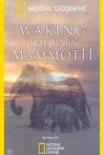 Watch Waking the Baby Mammoth Niter