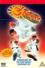 Watch 3 Ninjas Knuckle Up Niter