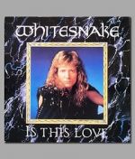 Watch Whitesnake: Is This Love Niter