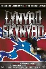 Watch Lynrd Skynyrd: Tribute Tour Concert Niter
