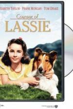 Watch Courage of Lassie Niter