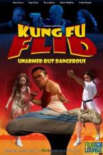 Watch Kung Fu Flid Niter