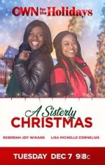 Watch A Sisterly Christmas Niter