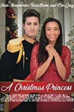Watch A Christmas Princess Niter