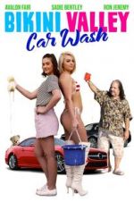 Watch Bikini Valley Car Wash Niter