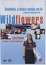 Watch Wildflowers Niter