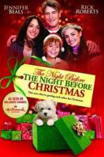 Watch The Night Before the Night Before Christmas Niter