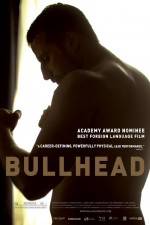 Watch Bullhead Niter