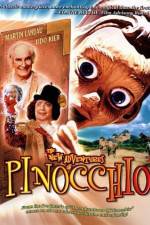 Watch The New Adventures of Pinocchio Niter