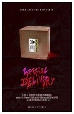 Watch Special Delivery Niter