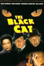 Watch The Black Cat Niter