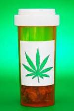 Watch Medicinal Cannabis and its Impact on Human Health Niter