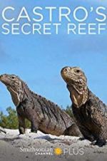 Watch Castro\'s secret reef Niter