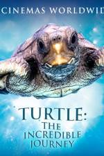Watch Turtle The Incredible Journey Niter