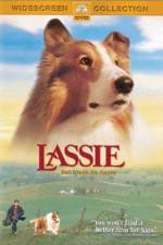 Watch Lassie Niter