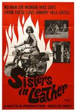 Watch Sisters in Leather Niter