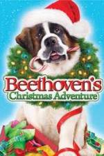 Watch Beethoven's Christmas Adventure Niter