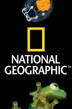 Watch National Geographic Wild Dam Beavers Niter