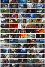 Watch The Tree of Life Niter