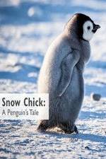 Watch Snow Chick: A Penguin's Tale Niter