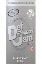 Watch Def Comedy Jam - All Stars - Vol.7 Niter