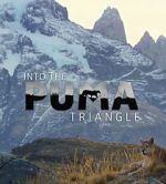 Watch Into the Puma Triangle Niter