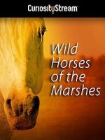 Watch Wild Horses of the Marshes Niter