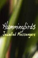 Watch Hummingbirds Jewelled Messengers Niter