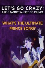 Watch Let\'s Go Crazy: The Grammy Salute to Prince Niter