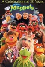 Watch The Muppets - A celebration of 30 Years Niter