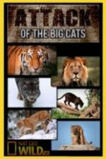 Watch National Geographic Attack Of The Big Cats Niter