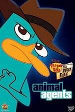 Watch Phineas And Ferb Animal Agents Niter