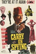 Watch Carry On Spying Niter