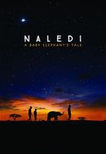 Watch Naledi: A Baby Elephant\'s Tale Niter