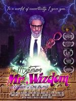 Watch The Mysterious Mr. Wizdom Niter