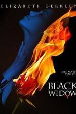 Watch Black Widow Niter
